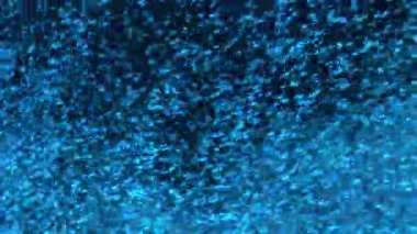 İçinde belgili tanımlık akvaryum su