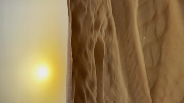 Ηλιοβασίλεμα Στην Έρημο Υψηλής Ποιότητας Υλικό Fullhd — Αρχείο Βίντεο