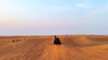 Gün batımında çölde at arabaları sürmek. Yüksek kaliteli FullHD görüntüler