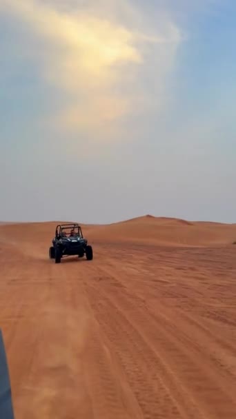 Jeżdżące Wozy Pustyni Zachodzie Słońca Wysokiej Jakości Materiał Filmowy Fullhd — Wideo stockowe