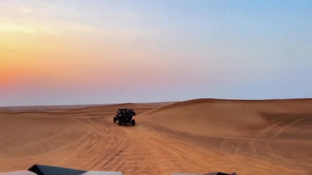 사막에서 버그를 고품질 Fullhd — 비디오