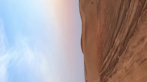 Extrém Homok Lovaglás Buggy Lovaglás Sivatagban Sivatagi Naplemente Kiváló Minőségű — Stock videók