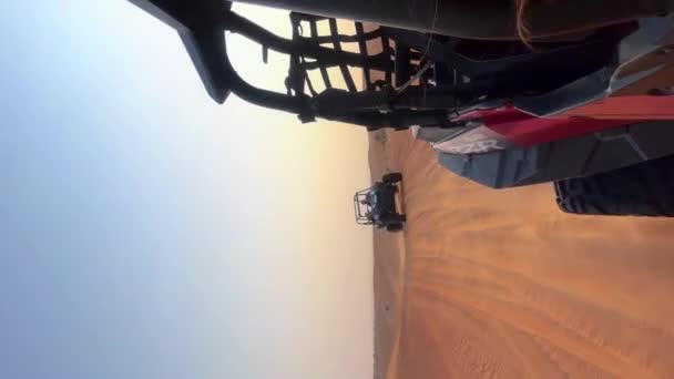 ทรายส แมลงในทะเลทราย พระอาท ตกทะเลทราย ภาพ ณภาพส — วีดีโอสต็อก