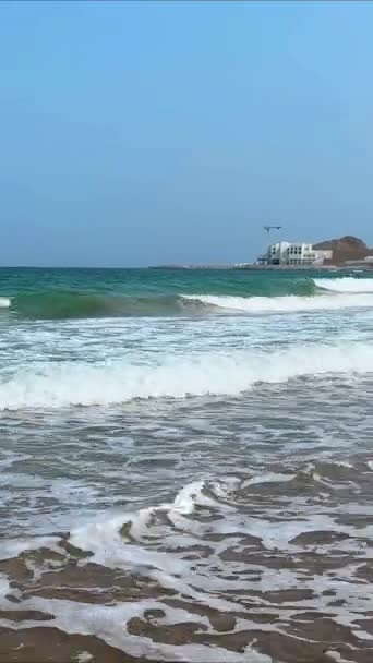 Plajları Mavi Gökyüzü Olan Deniz Yüksek Kalite Görüntü — Stok video