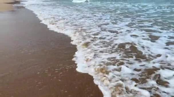 Plajları Mavi Gökyüzü Olan Deniz Yüksek Kalite Görüntü — Stok video