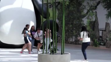 Beyaz yastık ve yatakta havludan yapılmış kuğu, romantik süslemeler. 