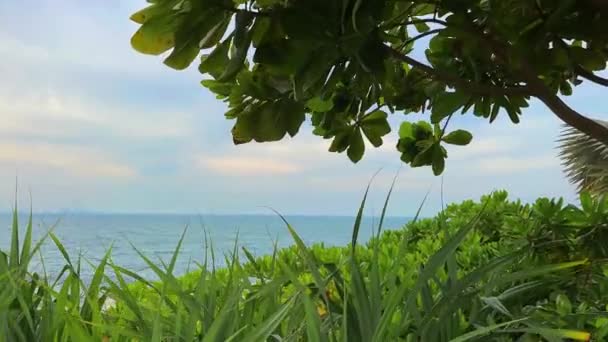 房子花园的绿地 高质量的4K镜头 — 图库视频影像