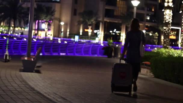 Transeuntes Caminham Longo Passeio Noite Imagens Alta Qualidade — Vídeo de Stock
