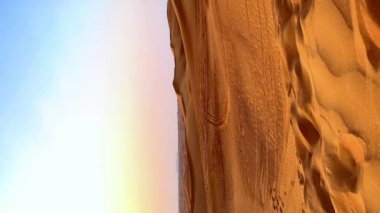 Ekstrem kum sürüşü, çölde at arabası sürüşü, çöl batımı. Yüksek kalite 4k görüntü