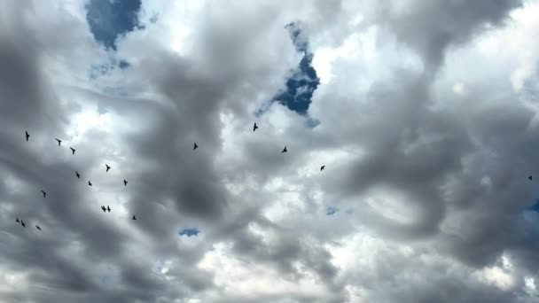 Moody Blue Ουρανός Sun Cover Σύννεφο Νηστείας Υψηλής Ποιότητας Πλάνα — Αρχείο Βίντεο