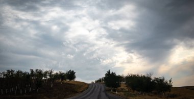 Ağacı ve yolu olan güzel bir manzara.