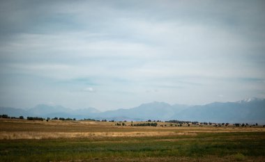 Yeşil ağaçlarla kaplı güzel bir manzara.