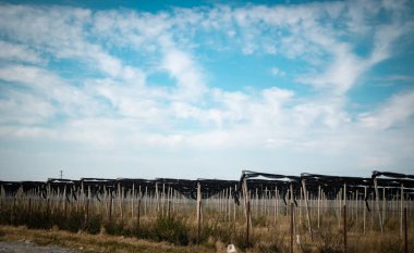 Bir evin çatısındaki güneş panelleri