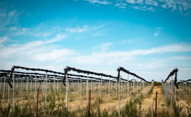 Sabah yol, dağ yolu, Kazakistan yolu ve doğa. Yüksek kalite fotoğraf