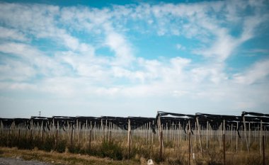 Sonbaharda mavi gökyüzü olan bozkır manzarası, sonbaharda bozkır manzarası, sabahları yol, Dağ yolu, Kazakistan yolu ve doğa. Yüksek kalite fotoğraf