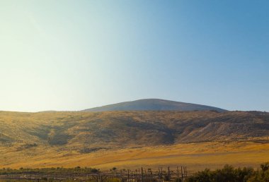 Güney Kazakistan doğası, dağ ve doğa manzarası. Yüksek kalite fotoğraf