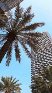 Dubai şehri, gündüz şehir manzarası, mavi gökdelenli gökdelenler, Burj Halife yakın çekim. Yüksek kaliteli FullHD görüntüler