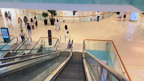 Dubai Emirati Arabi Uniti 2923 Clienti Del Dubai Mall Emirati — Video Stock
