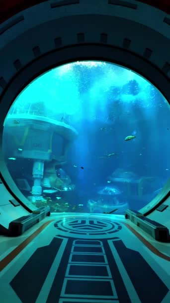 水族館内の船の内部を眺める — ストック動画