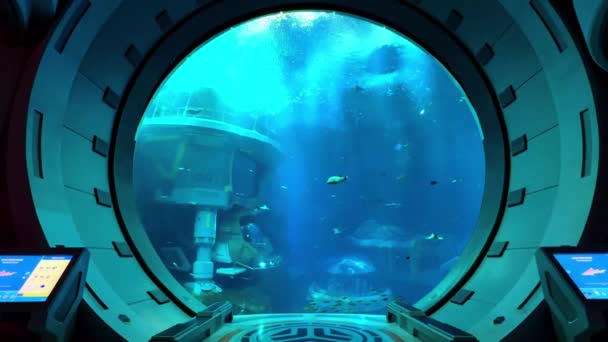 在水下观看美丽的大海 — 图库视频影像