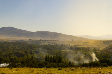 Orman yangınları ağaçların üzerinden duman çıkıyor. Ağaçların ve dağların arka planında duman çıkıyor. Yüksek kalite fotoğraf