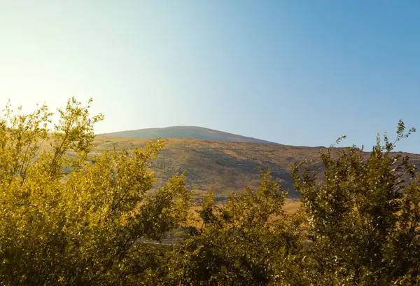 Güney Kazakistan doğası, dağ ve doğa manzarası. Yüksek kalite fotoğraf