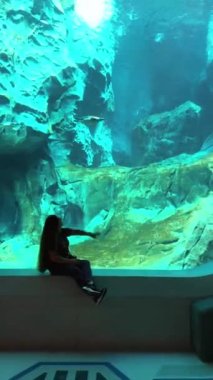 Akvaryumdaki siluet kadın akvaryumda vatozların yüzüşünü izliyor. Oceanarium su bitkilerindeki deniz yaşamını seyreden bir kız. Okyanustaki güzel kadın farklı balık türlerini izlemekten hoşlanır.
