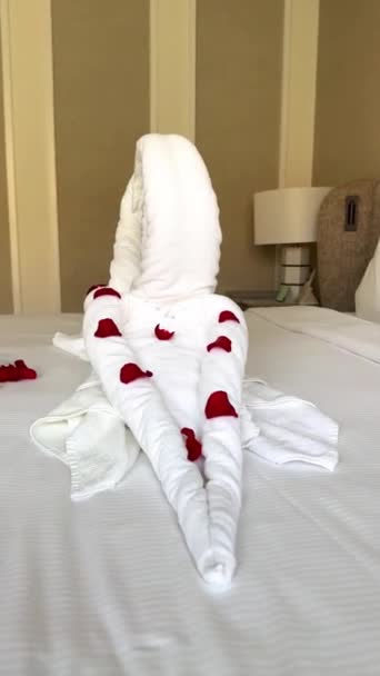 Łabędź Ręcznika Kwiatami Leży Łóżku Pokoju Hotelowym Wysokiej Jakości Materiał — Wideo stockowe
