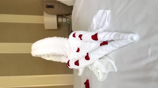 用花毛巾制成的天鹅躺在酒店房间的床上 优质Fullhd影片 — 图库视频影像