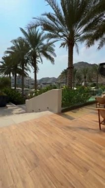 Sahilde palmiye ağacı