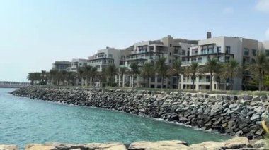 Palmiye ağaçları ve mavi gökyüzü olan güzel bir sahil. Dubai 'deki lüks otel