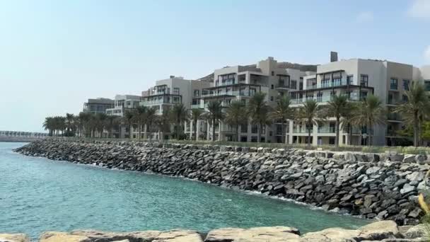 Prachtig Strand Met Palmbomen Blauwe Lucht Luxe Hotel Dubai — Stockvideo