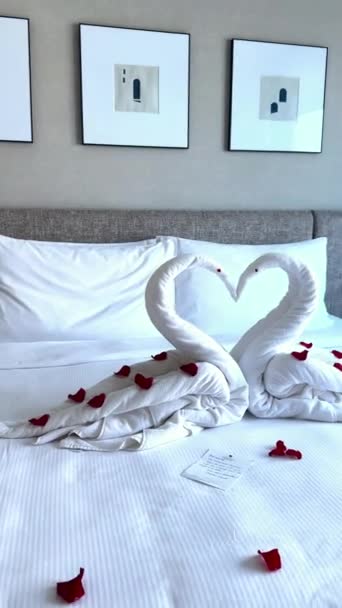 用花毛巾制成的天鹅躺在酒店房间的床上 优质Fullhd影片 — 图库视频影像