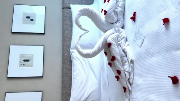 Swan Κατασκευασμένο Από Πετσέτα Λουλούδια Βρίσκεται Στο Κρεβάτι Στο Δωμάτιο — Αρχείο Βίντεο