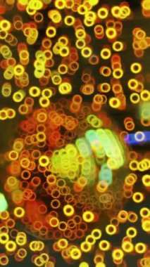 Renkli Bokeh soyut arkaplanı. Bulanık arkaplan