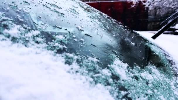 Nieve Cae Sobre Parabrisas Coche Durante Día Retrato Nieve Coche — Vídeos de Stock