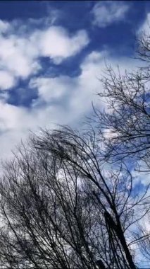 Dağ manzarasının üstündeki kanadın üstündeki uçak penceresinden manzara. Yüksek kalite 4k görüntü