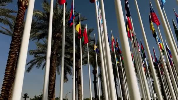 Flaggor Förenade Arabemirat Uae Emirat Förenade Arabemirat — Stockvideo