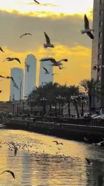 Şehrin güzel manzarası