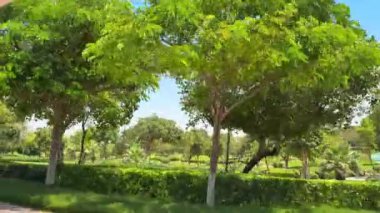 Parkın güzel manzarası