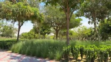 Parkın güzel manzarası