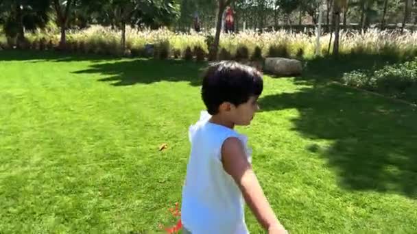 아가씨 소녀는 공원을 실행됩니다 아이는 잔디에 재생합니다 행복한 아이는 정원에서 — 비디오