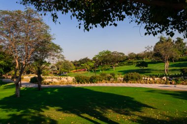 Golf Sahası ve yeşil çimen