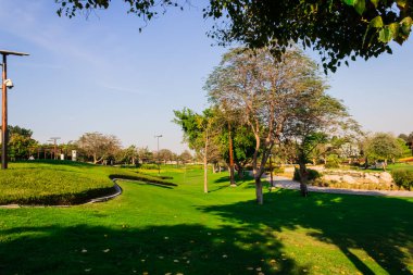 Parktaki güzel bahçe.