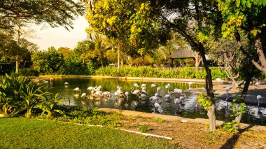 Bir sürü çiçekli güzel bir park.