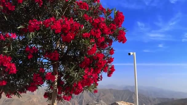 Pemandangan Yang Indah Dari Kota Pulau Laut Mediterania Utara Israel — Stok Video