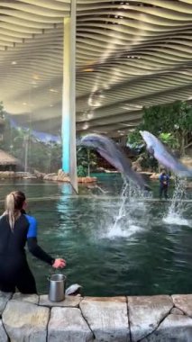 Parkta köpeği olan genç bir kadın.