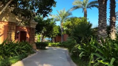 Sabah güneşi ağaçların arasından parlıyor ve yemyeşil tropikal yağmur ormanlarında sis var. Orman yaprakları ve eğrelti otlarıyla nemli sislerin arasında parlayan parlak bir ışık. Güzel, tazelik manzarası. Yüksek