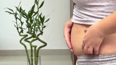 Şişman kadınların göbeğinde yağ kıvrımları var. Aşırı kilo, obez kadın, diyet ve aşırı kilo sorunları kavramı. Yüksek kalite 4k görüntü