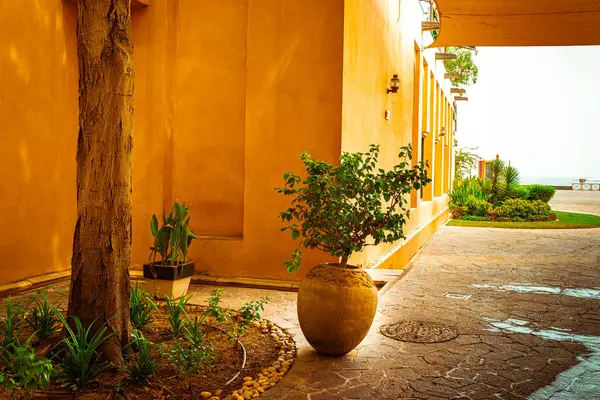 stock image Qatara village view, outdoor interior design of heritage village. High quality photo